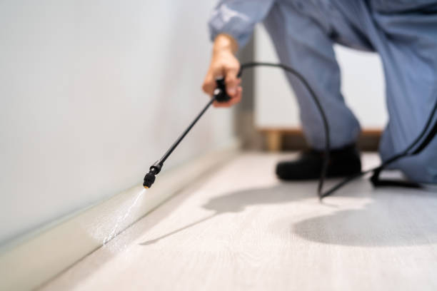 Licensed Pest Control service in Floris, VA - Show Me Pest Control