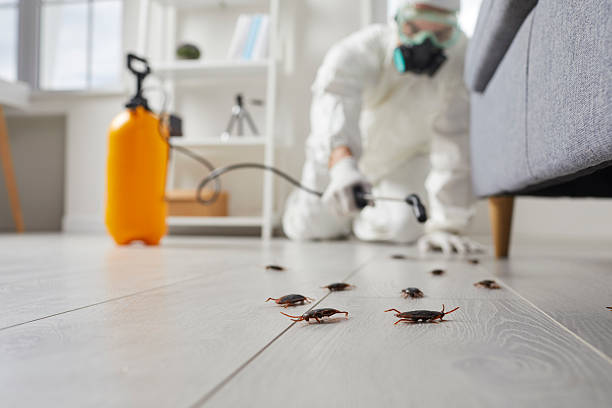Commercial Kitchen Cockroach Control in Floris